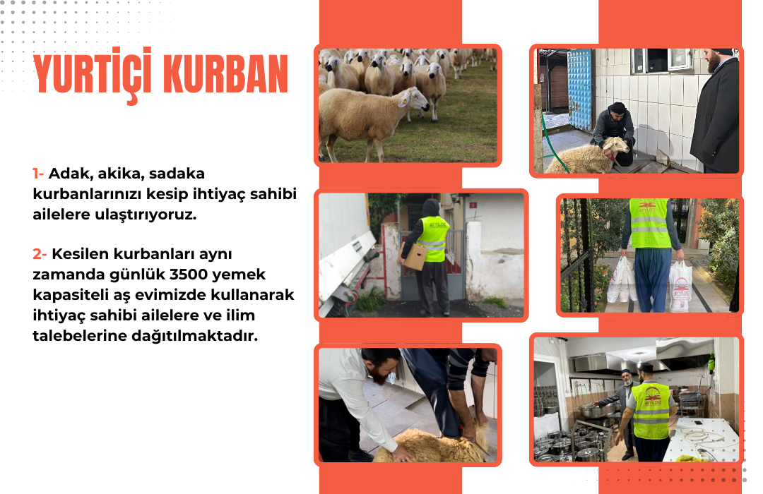 YURTİÇİ KÜÇÜKBAŞ KURBAN